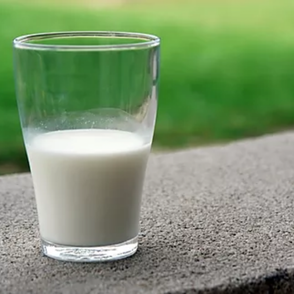 Milk for the dairy free diet