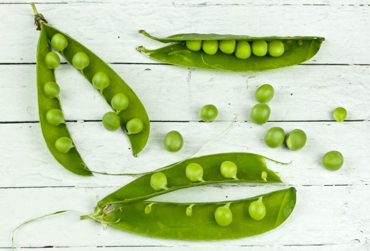 Picture of pea pods