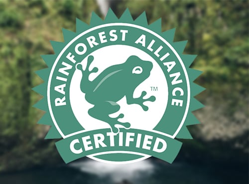 Rainforest Alliance Certified Logo