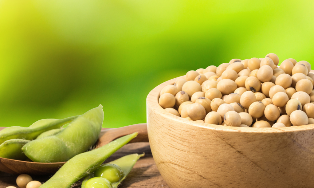 Soybeans in a bowl and on a table