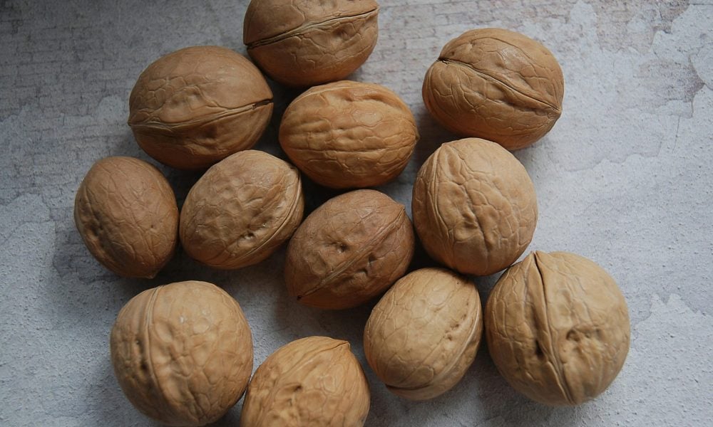 Tree nuts on table surface