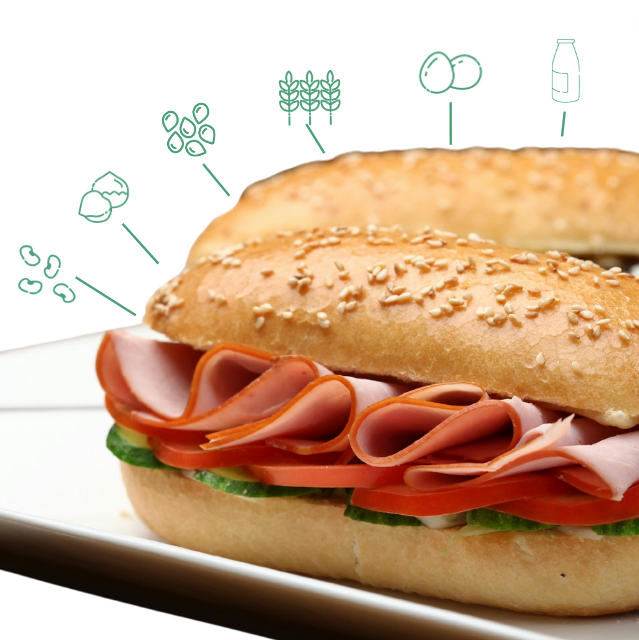 Icons of different major allergens present in a sandwich